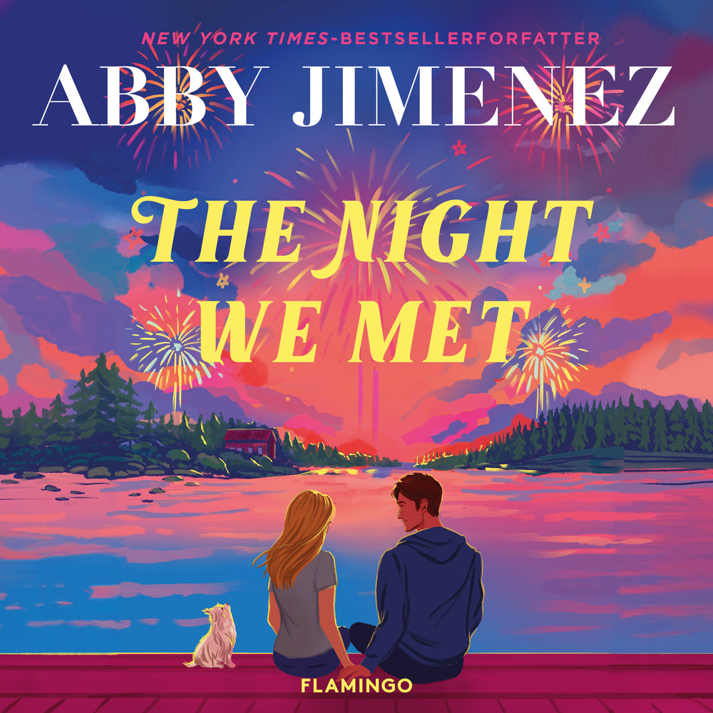 The Night We Met