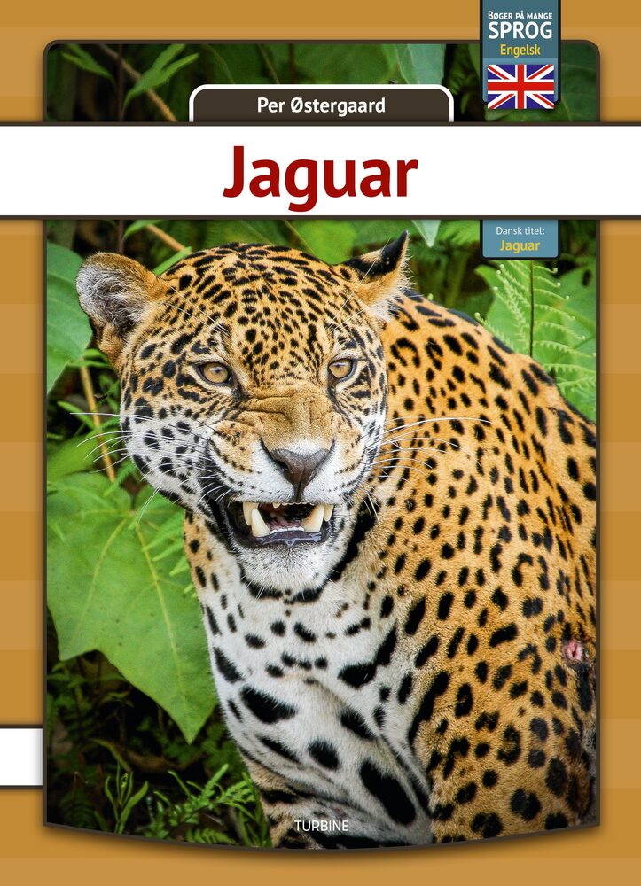 Jaguar - engelsk