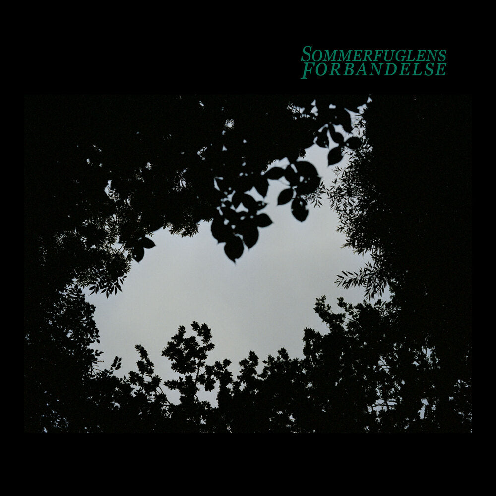 Sommerfuglens forbandelse