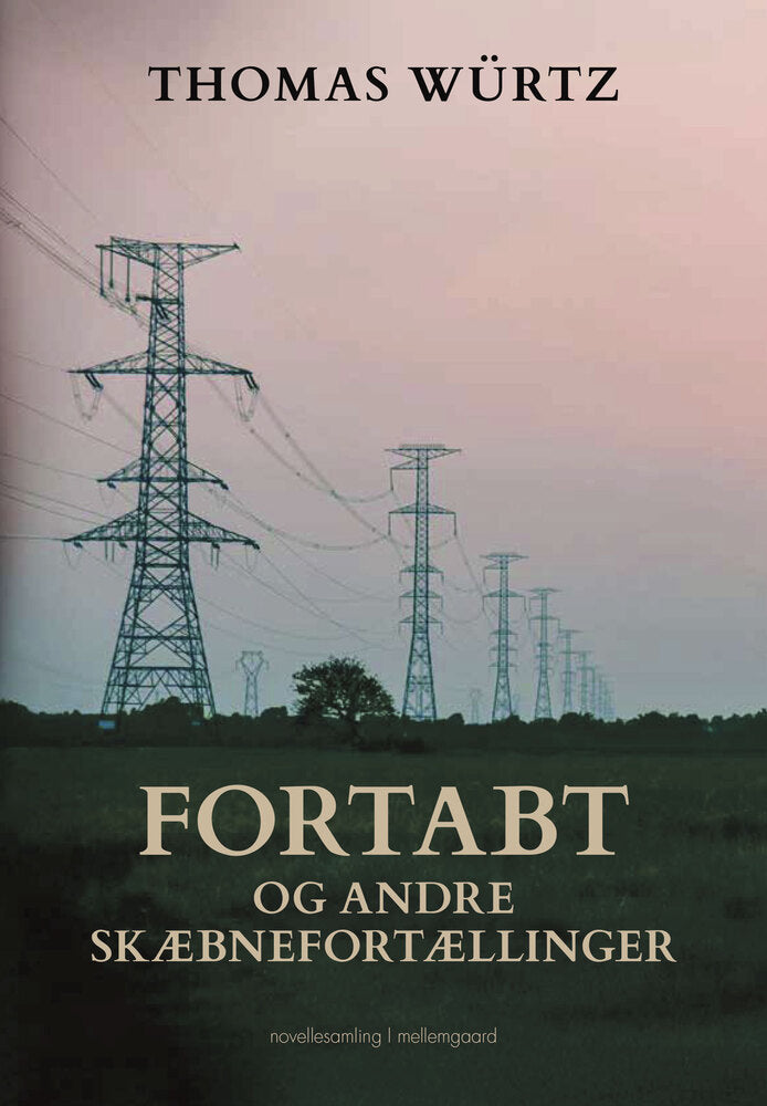 Fortabt og andre skæbnefortællinger