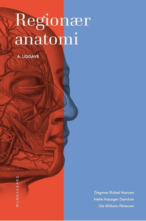 Regionær anatomi