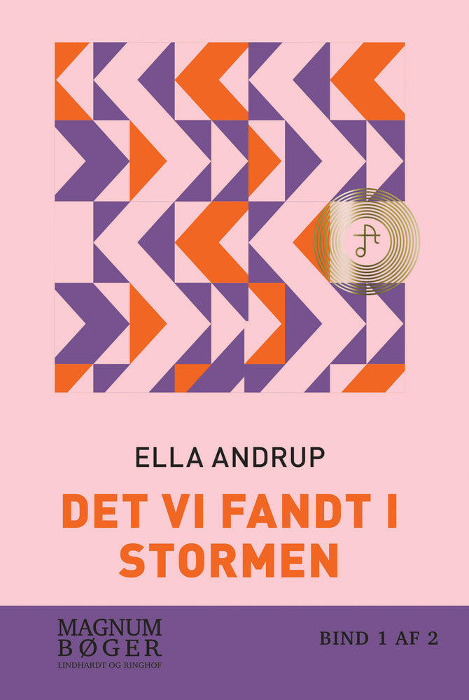 Det vi fandt i stormen (Storskrift)