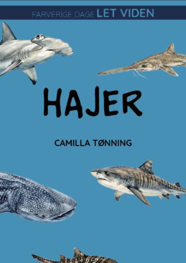 Hajer