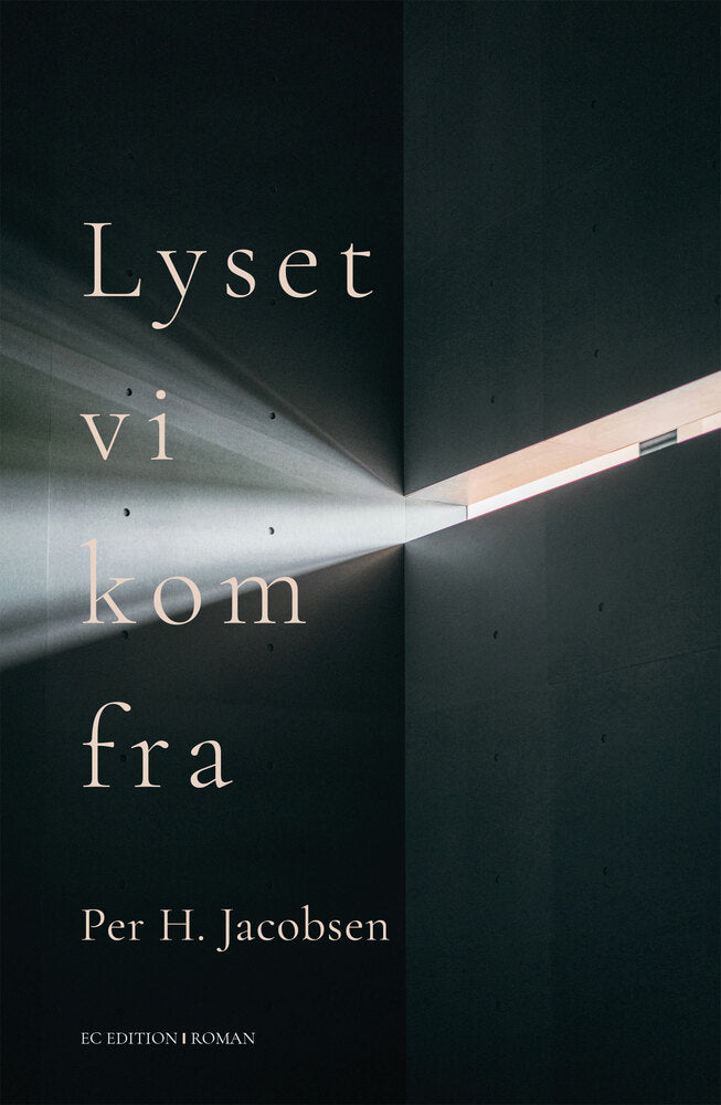Lyset vi kom fra