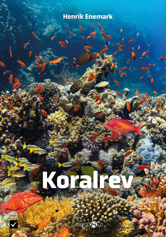 Koralrev