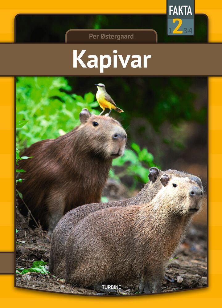D1 Kapivar