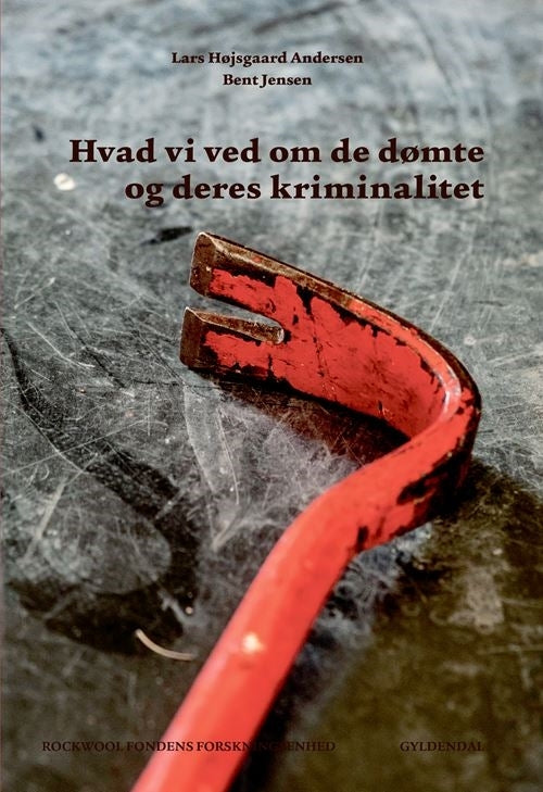 D1 Hvad vi ved om de dømte og deres kriminalitet