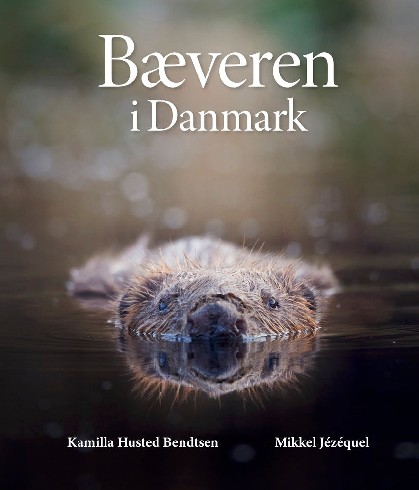 D1 Bæveren i Danmark