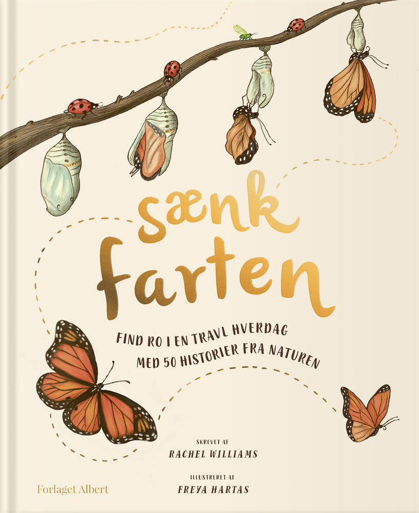 D2 Sænk farten