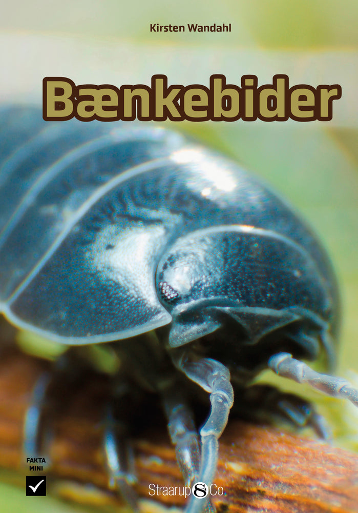 Bænkebider