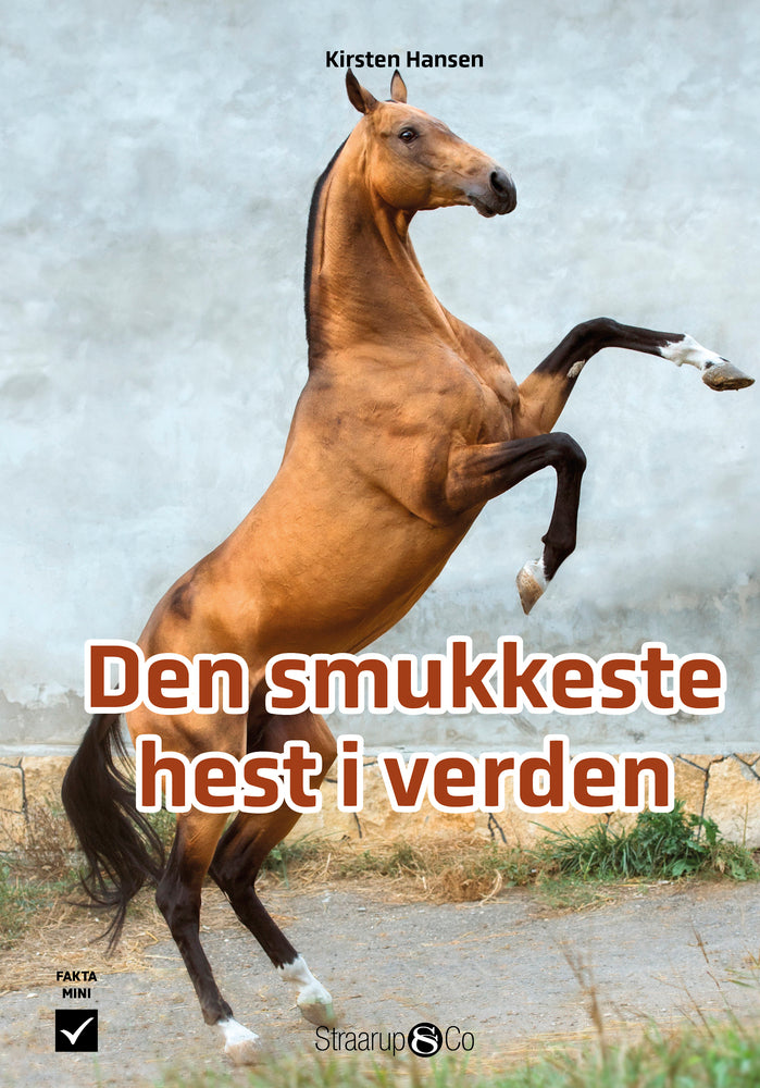 Den smukkeste hest i verden