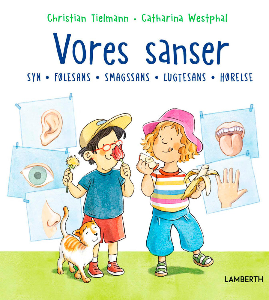 Vores sanser - Syn, følesans, smagssans, lugtesans, hørelse