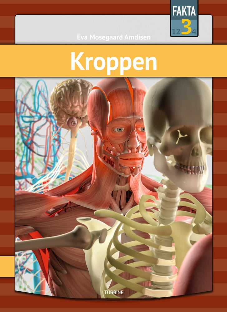 D1 Kroppen