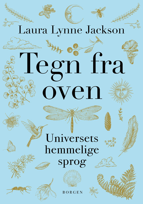 D1 Tegn fra oven