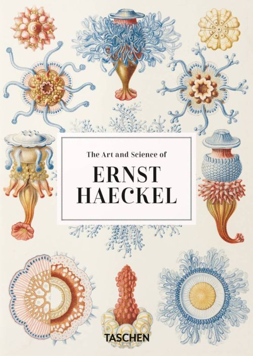 D1 The Art and Science of Ernst Haeckel. 45th Ed.