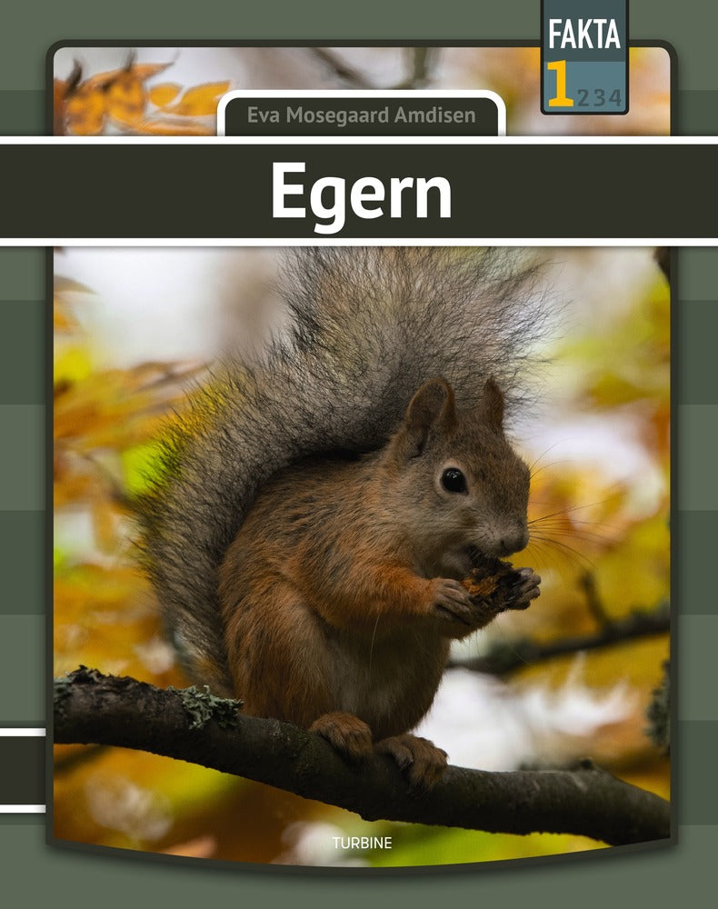 D1 Egern
