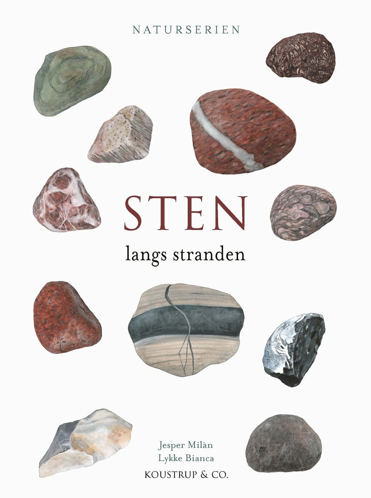 D1 STEN