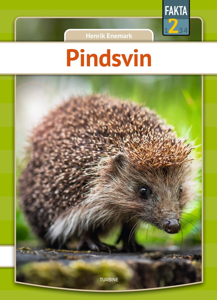 D1 Pindsvin