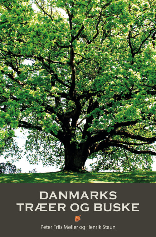 D1 DANMARKS TRÆER OG BUSKE