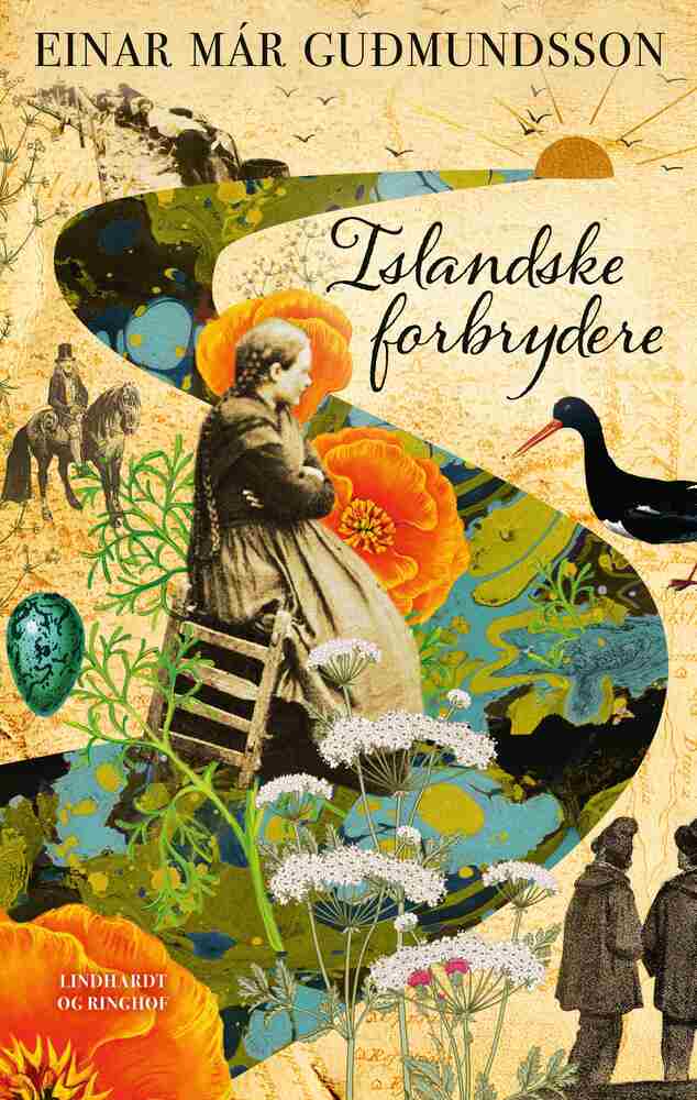 D1 Islandske forbrydere