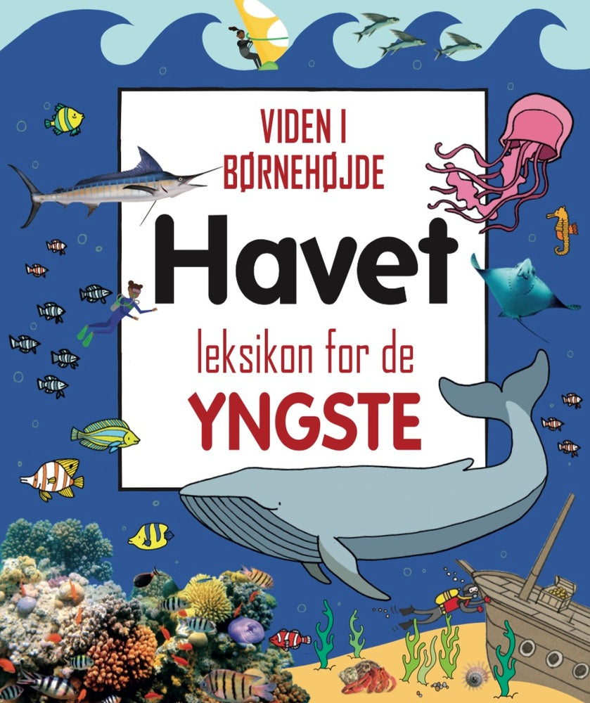 D1 Havet - leksikon for de yngste