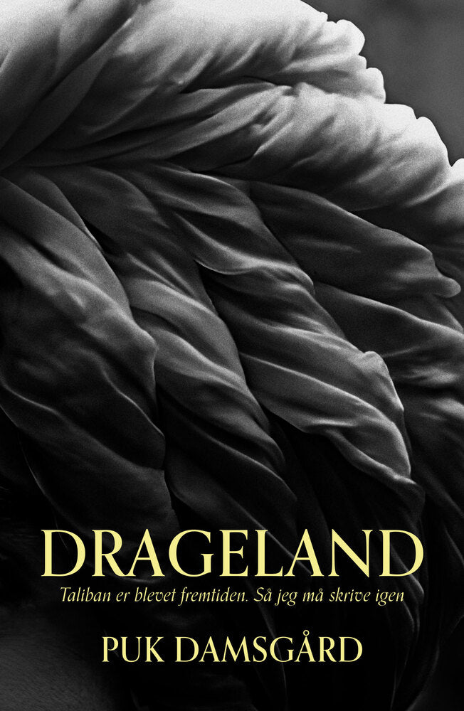 D1 Drageland