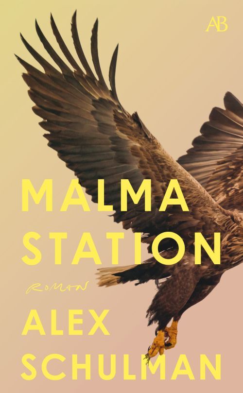 D1 Malma station