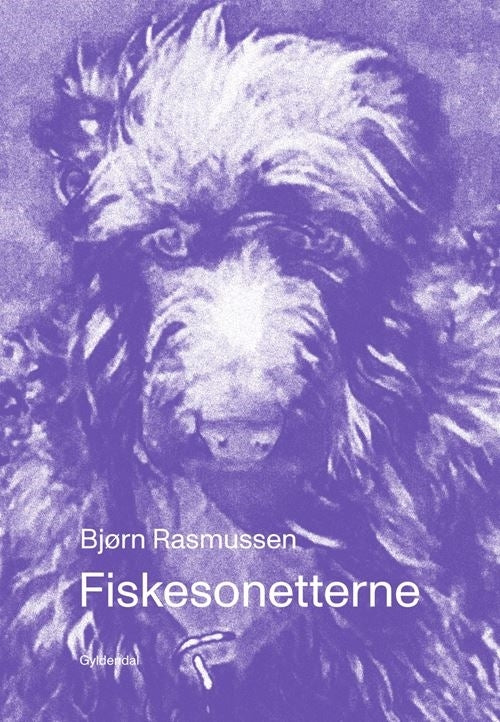 D1 Fiskesonetterne