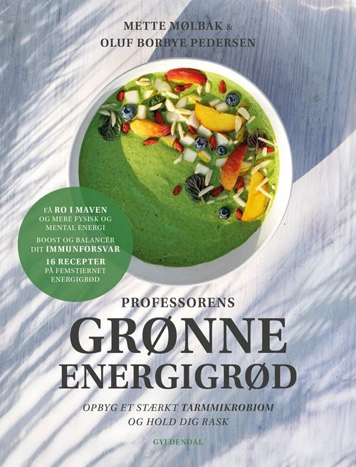D1 Professorens grønne energigrød