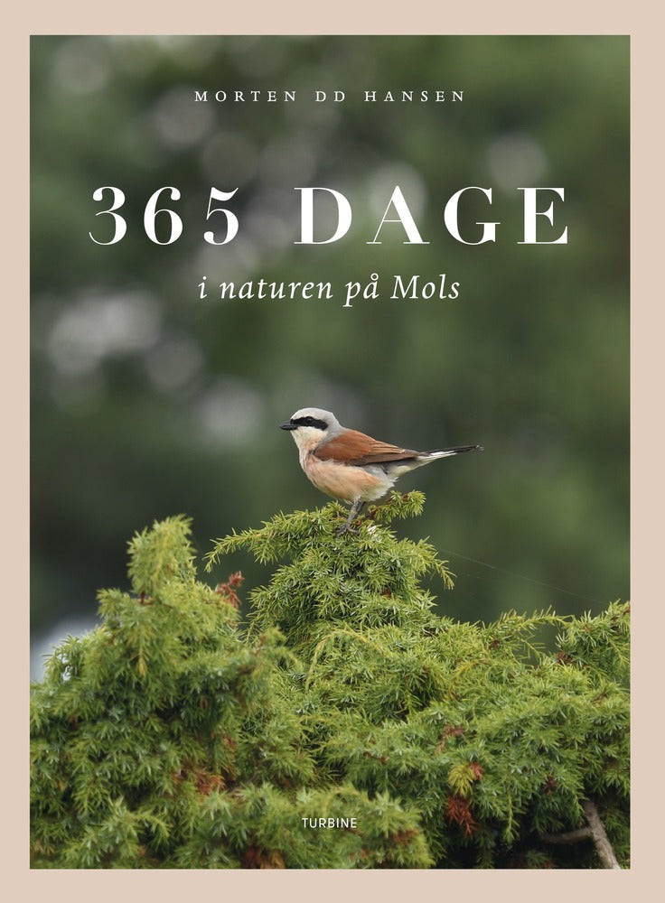 D1 365 dage i naturen på Mols