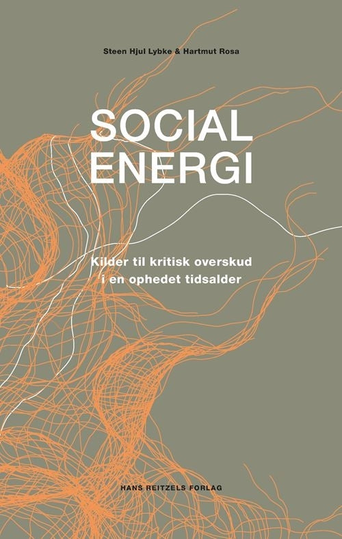 D1 Social energi