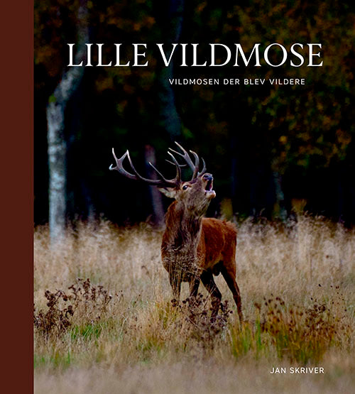 D2 Lille Vildmose