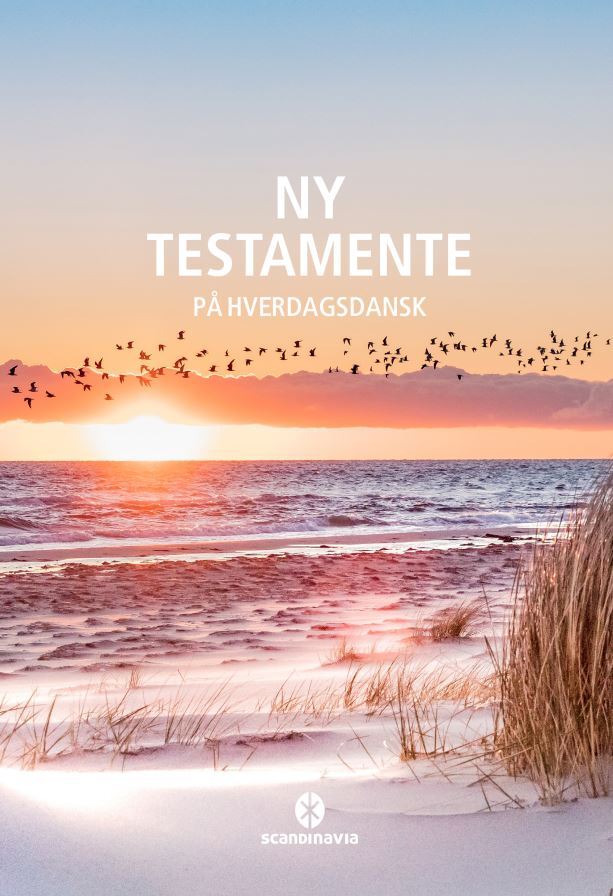 D2 Ny Testamente - på hverdagsdansk, strand.