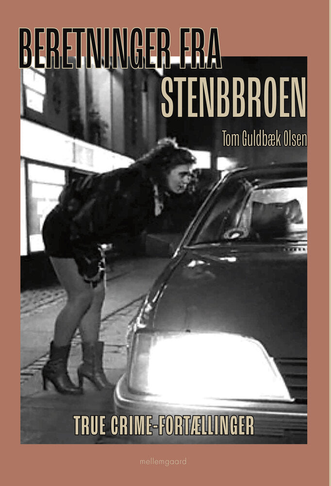 Beretninger fra stenbroen