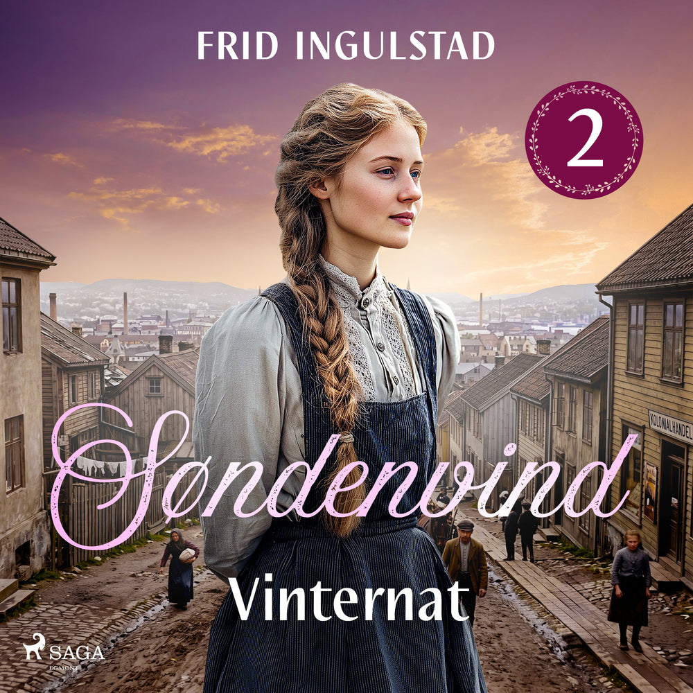 Vinternat - Søndenvind 2