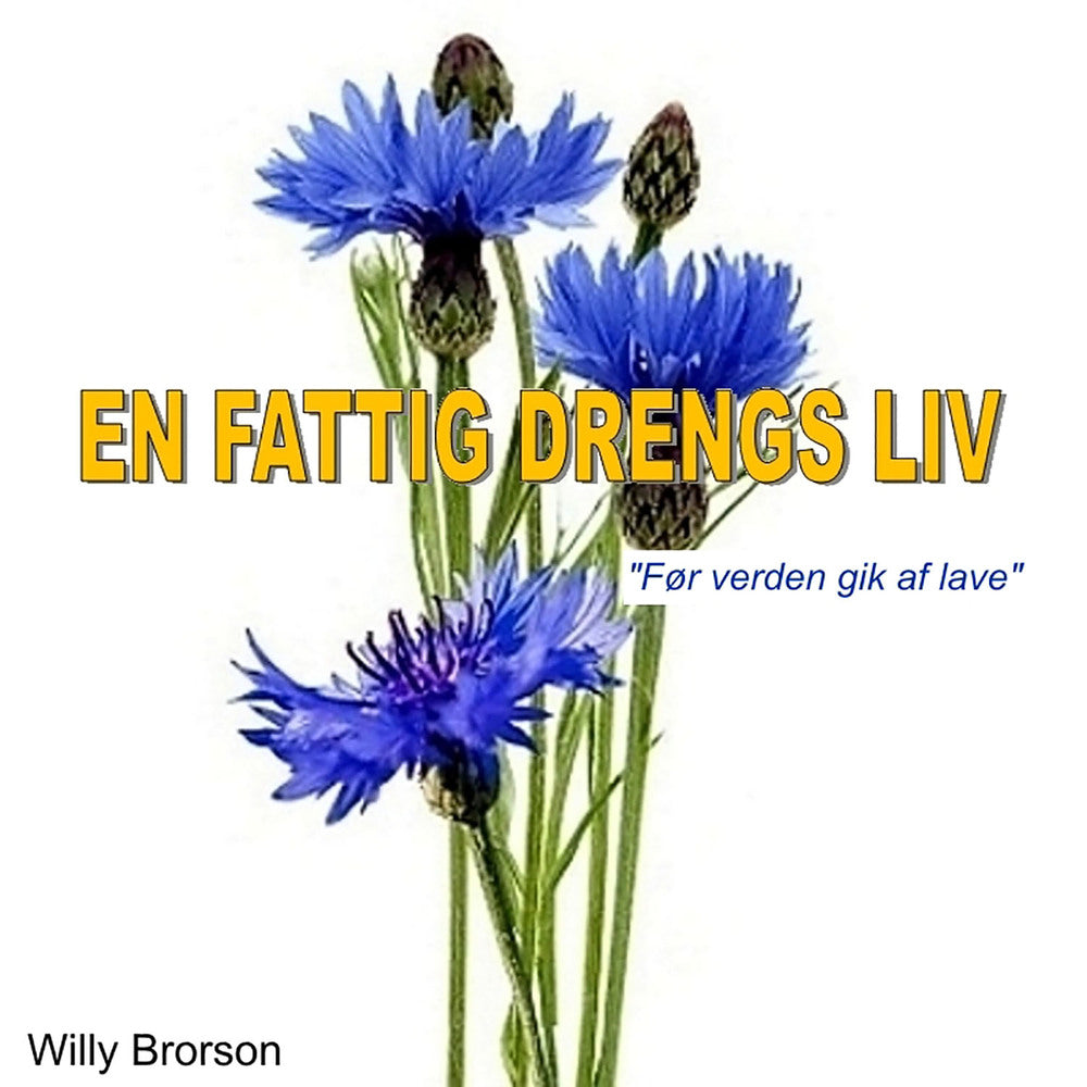 En fattig drengs liv