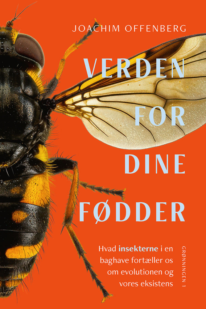 Verden for dine fødder
