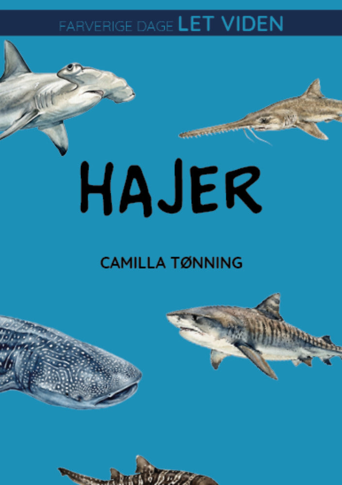 Hajer
