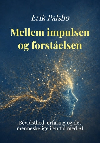 Mellem impulsen og forståelsen