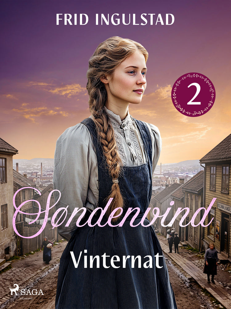 Vinternat - Søndenvind 2