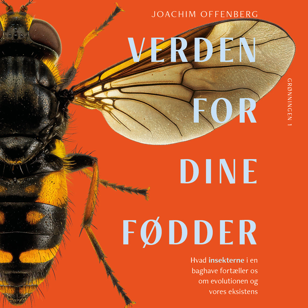 Verden for dine fødder