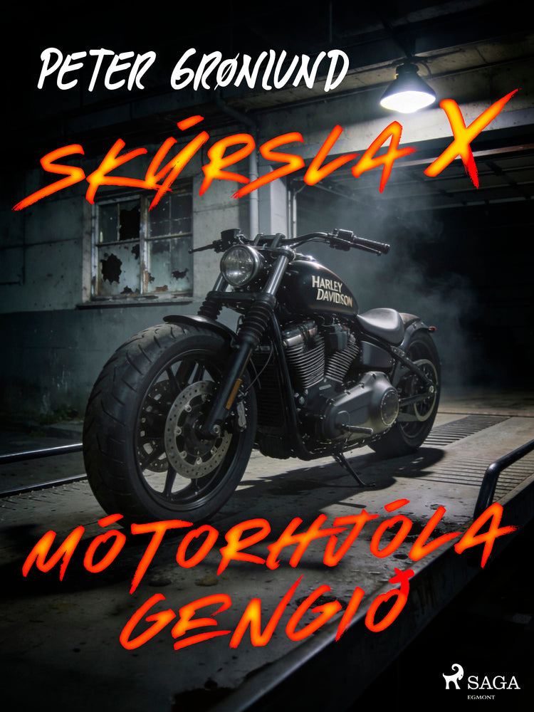 Skýrsla X - Mótorhjólagengið