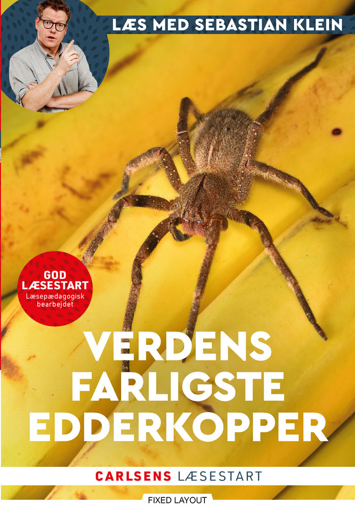 Læs med Sebastian Klein: Verdens farligste edderkopper