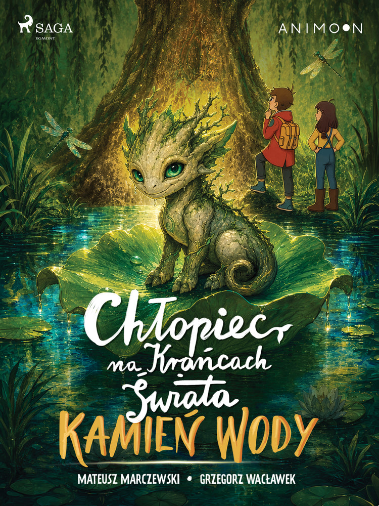 Chłopiec na krańcach świata. Kamień wody