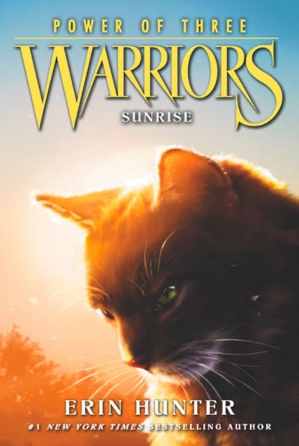 Warriors: Power of Three #6: Sunrise - Warriors: Power of Three