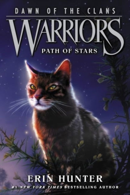 Warriors: Dawn of the Clans #6: Path of Stars - Warriors: Dawn of the Clans