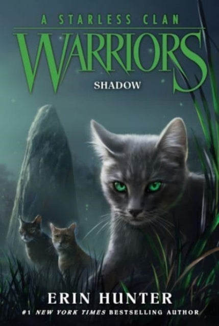 D1 Warriors a Starless Clan #3 Shadow - D1 Warriors a Starless Clan