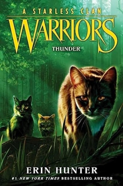 Warriors: a Starless Clan #4: Thunder - Warriors: a Starless Clan