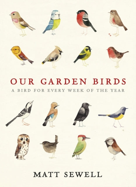 Our Garden Birds A Stunning Illustrated Guide To The Birdlif