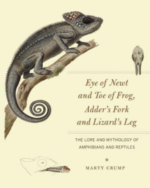 Eye Of Newt And Toe Of Frog, Adder'S Fork And Lizard'S Leg T